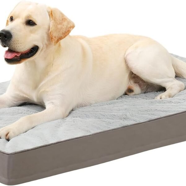 Orthopedic Dog Bed, Waterproof, 41 x 27 Inch, Gray, Deluxe Plush, Removable Cover, Durable Zipper, Orthopedic Foam, 3-Inch Thick, For Dogs Up to 80lbs