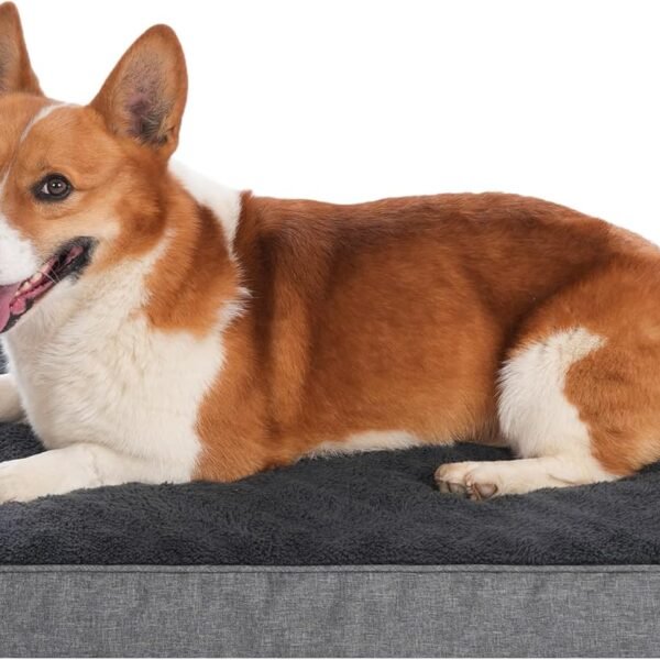 Orthopedic Dog Bed for Medium/Small Dogs, Dog Mat with Removable Washable Cover & Anti-Slip Bottom,Egg Crate Foam  Bed,Dog Mattress,Kennel Pad 30 x 20 inches for Dogs Up to 35 lbs