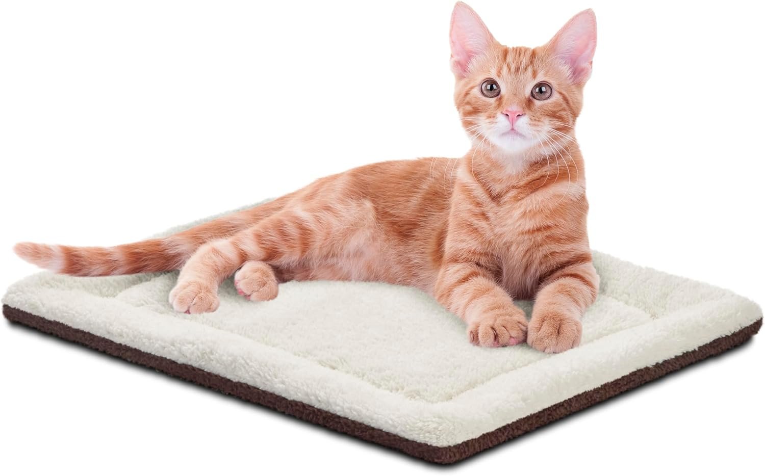 Self-Warming Cat Bed Pad, Self Heating Pad for Outdoor Cat Houses, Warming Mat for Indoor Pet Beds & Furniture, Reversible Blanket, Washable - Small 21 X 17in Oatmeal/Chocolate