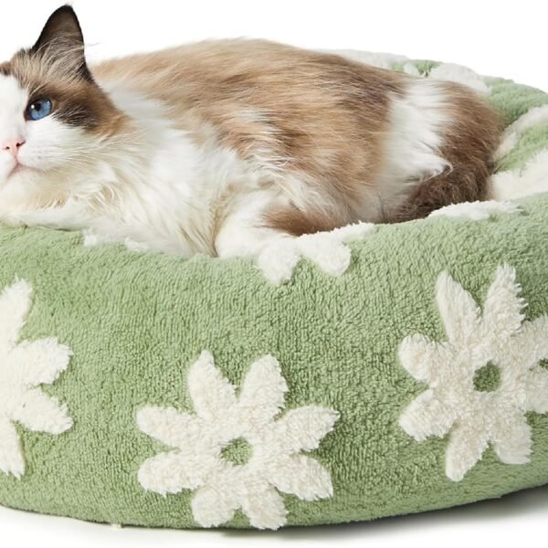 Donut Small Dog Bed - Round Cat Beds for Indoor Cats Calming Pet Beds, Cute Modern Beds with Jacquard Shaggy Plush & Anti Slip Bottom, 20 Inch, Green,XS (20x20x6)