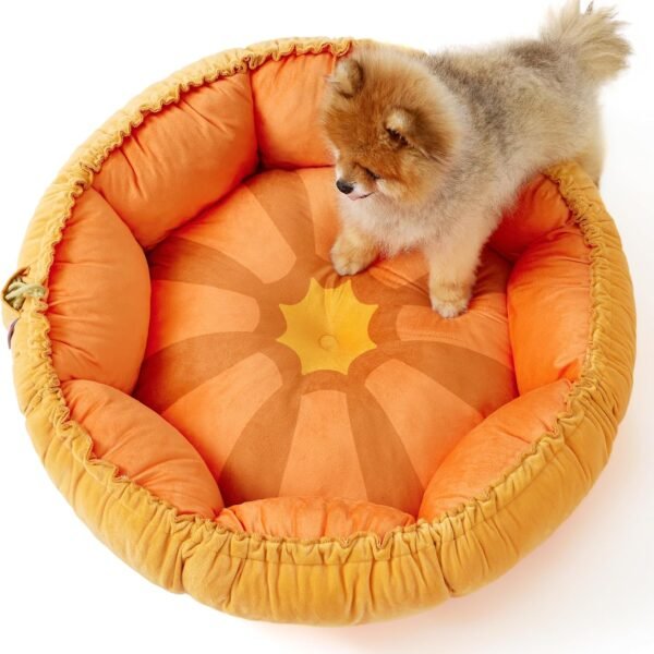 Dog beds for Small Dogs - Washable Cute Cat Beds with Versatile Dual-Use Design, Reversible Round  Bed for Puppy and Kitten, 25x25x8 Inches
