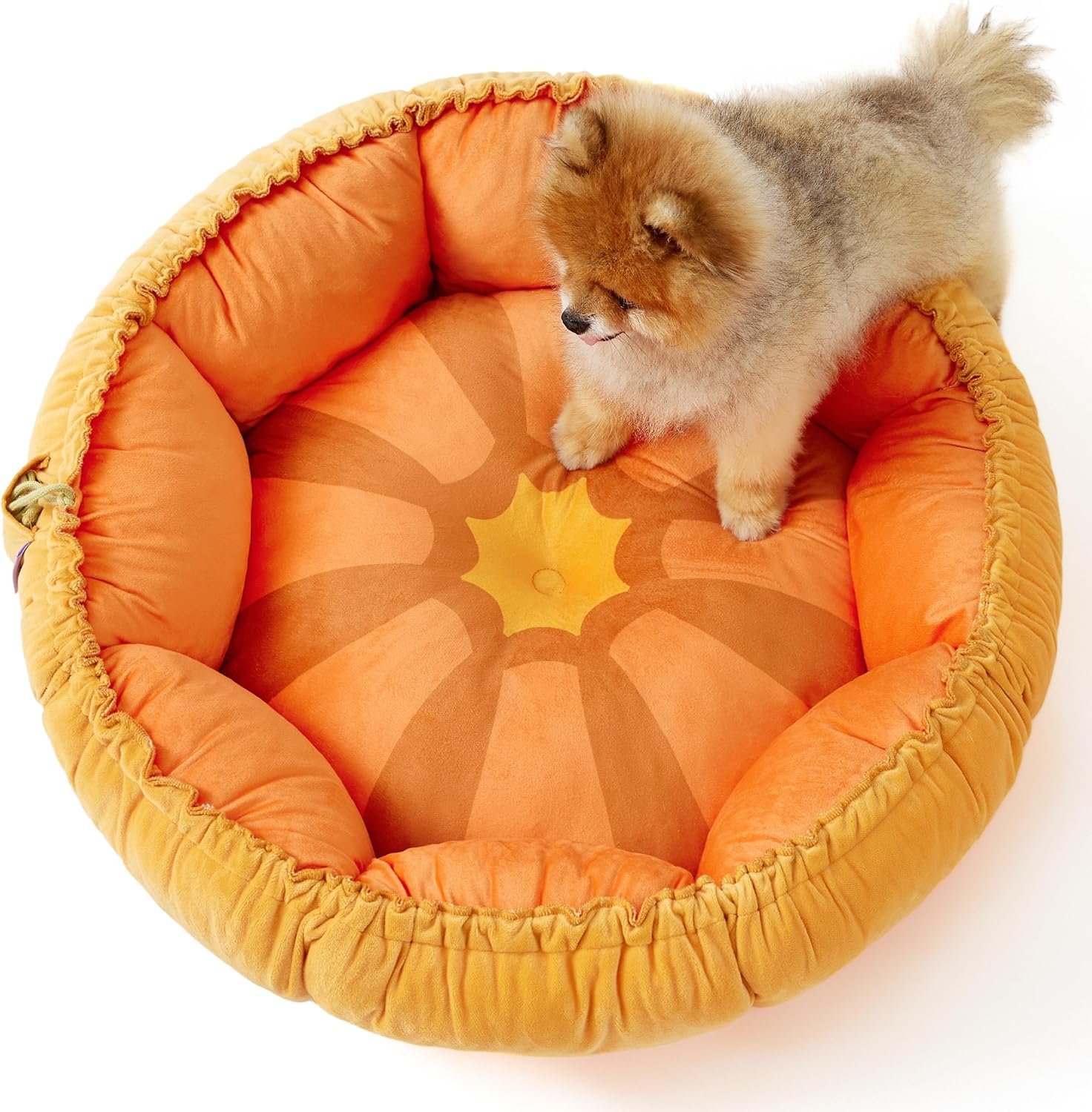 Dog beds for Small Dogs - Washable Cute Cat Beds with Versatile Dual-Use Design, Reversible Round Bed for Puppy and Kitten, 25x25x8 Inches