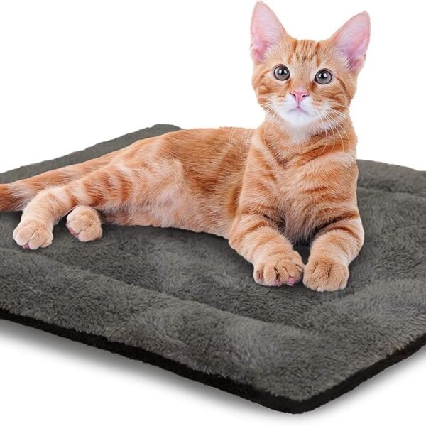 Self-Warming Cat Bed Pad, Self Heating Pad for Outdoor Cat Houses, Warming Mat for Indoor Pet Beds & Furniture, Reversible Blanket, Machine Washable - Small 21 X 17in Gray/ Black