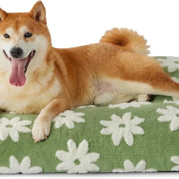 Dog Beds Large Sized Dog-Thick Shredded Chopped Foam  Bed, Dog Bed Indoor with Removable Cover, Cute Modern Fuzzy Plush & Anti Slip Bottom(35'x22', Green)