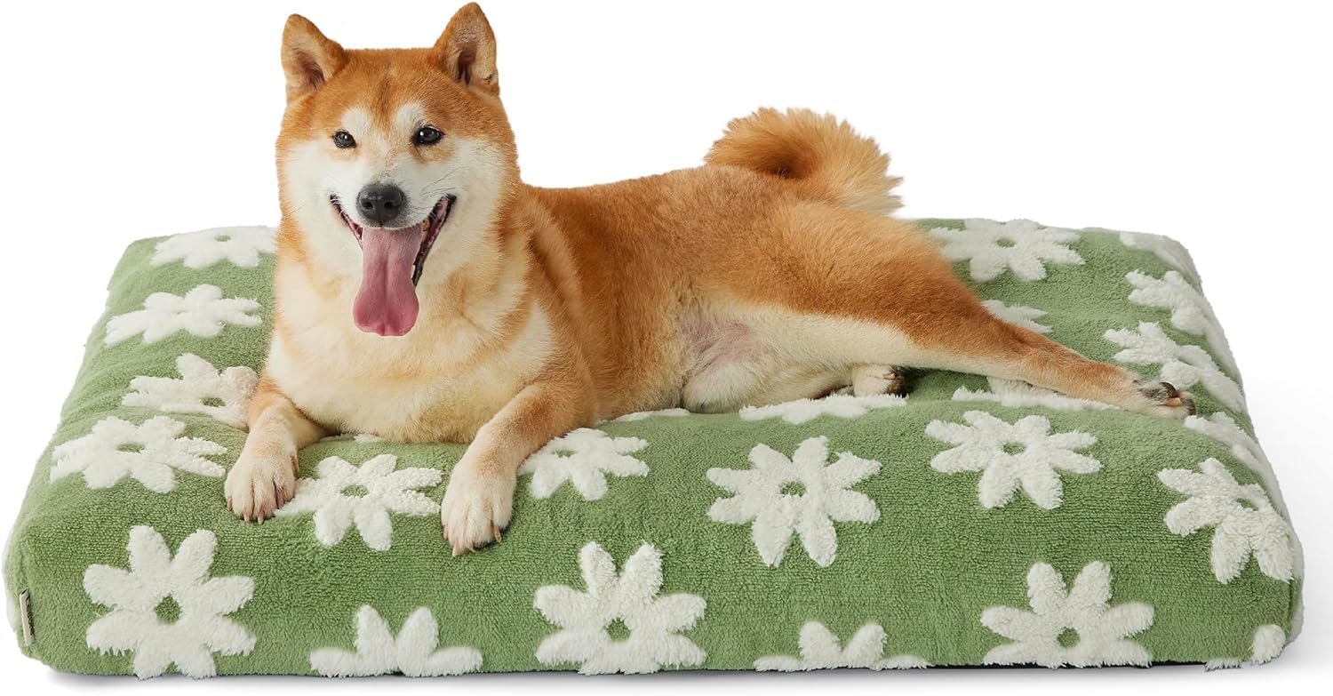Dog Beds Large Sized Dog-Thick Shredded Chopped Foam Bed, Dog Bed Indoor with Removable Cover, Cute Modern Fuzzy Plush & Anti Slip Bottom(35'x22', Green)