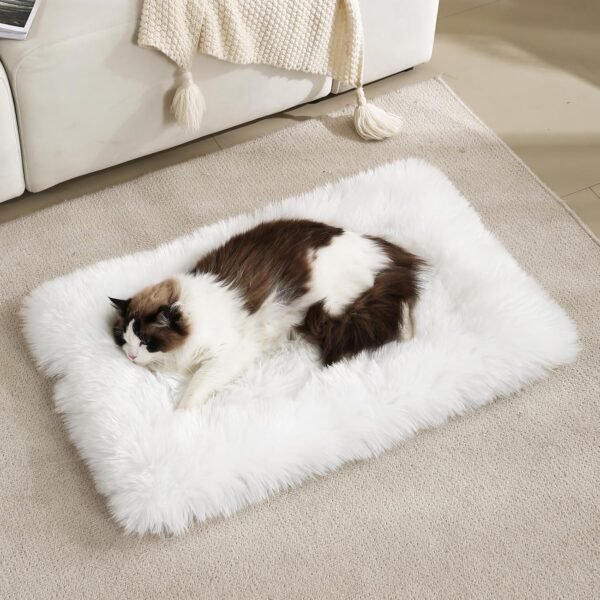 Fluffy Dog Cat Bed Mat 19.6x31.4 inch, Washable Soft Plush Faux Fur Warm Area Puppy Pads Blanket for Indoor Pet Sleep Cushion White