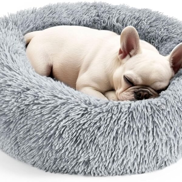 Dog & Cat Bed, 20in Cat Beds for Indoor Cats, Calming Donut Bed for Puppy and Kitten, Washable Round Fluffy Pet Bed for Small Medium Dogs and Cats (Light Grey)
